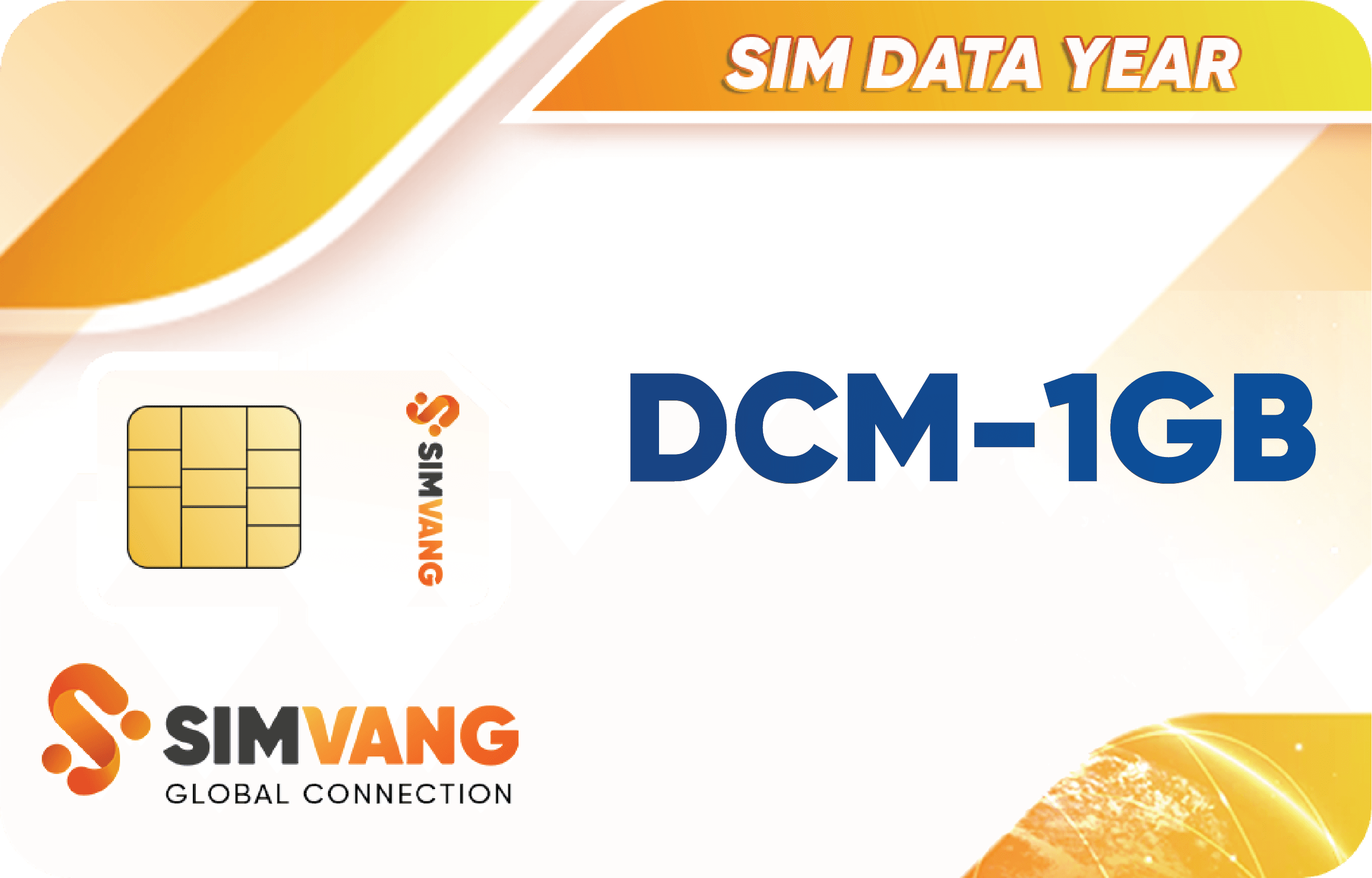 1GB DCM